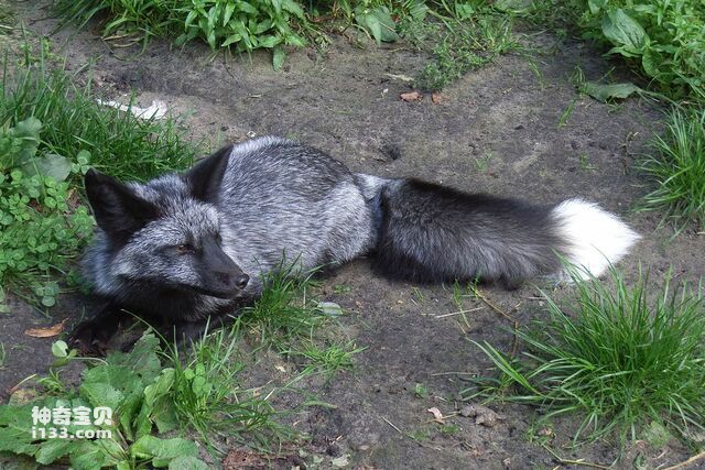 2024082011996667.jpg 4.jpg