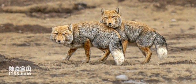 2024082012766908.jpg 10.jpg