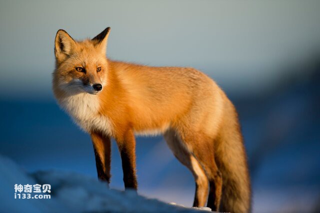 2024082015231029.jpg 66.jpg