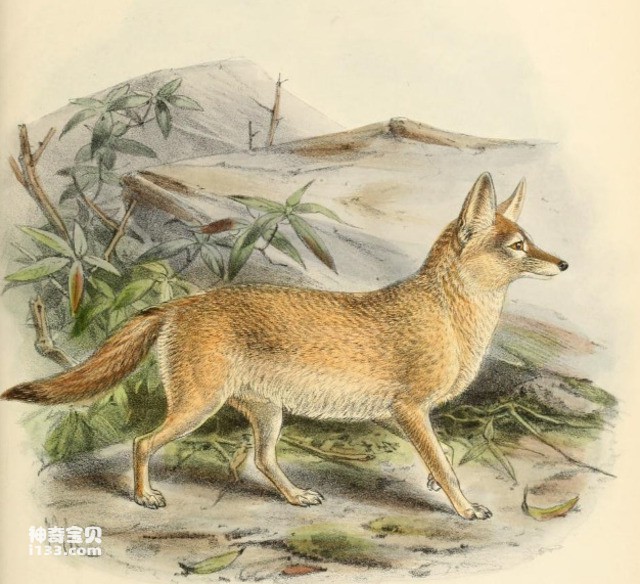 2024082017480028.jpg 99.jpg