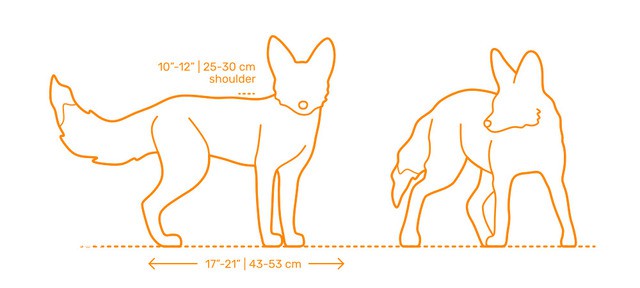 2024082019080815.jpg 77.jpg