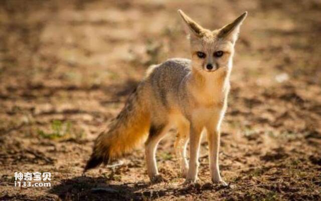 2024082021450085.jpg 9.jpg