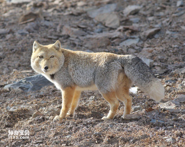 2024082032698947.jpg 1010.jpg