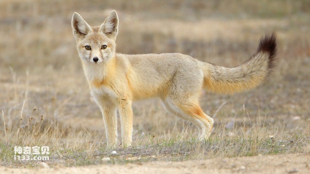 2024082035107934.jpg 7.jpg