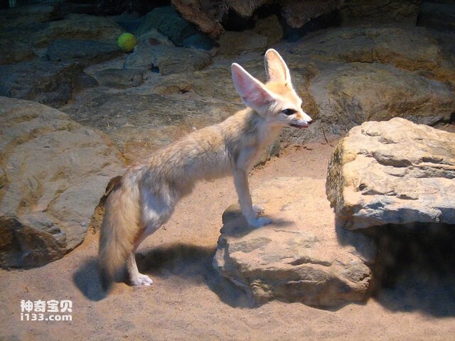 2024082054376995.jpg 2.jpg