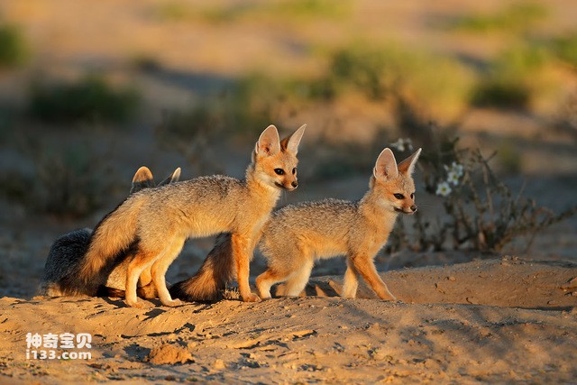 2024082058792991.jpg 5.jpg