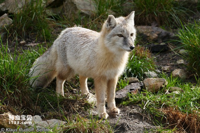 2024082064893072.jpg 88.jpg