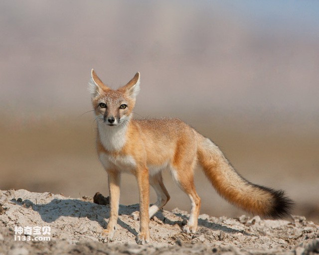 2024082094899261.jpg 55.jpg