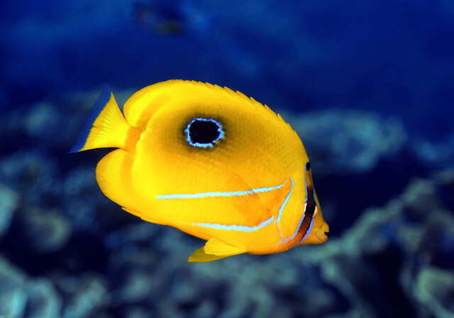 2024082810321916.jpeg 10.jpeg