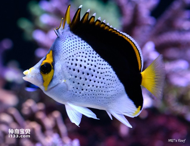 2024082810916643.jpg 22.jpg