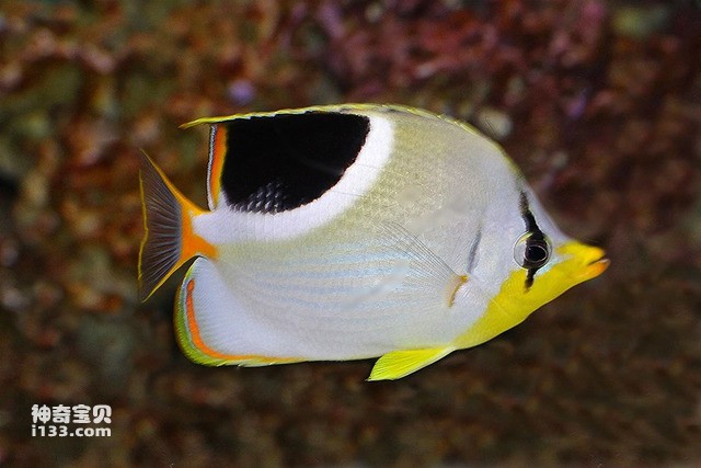 2024082811191393.jpg 99.jpg