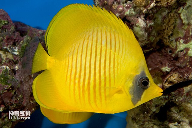 2024082813055420.jpg 11.jpg