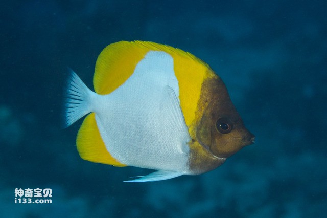 2024082813361193.jpg 66.jpg