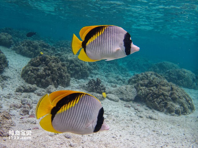 2024082814255330.jpg 4.jpg