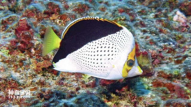 2024082814842739.jpg 2.jpg