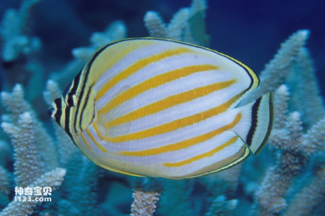 2024082814903757.jpg 5.jpg