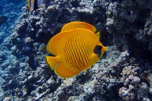 2024082816783479.jpeg 1.jpeg