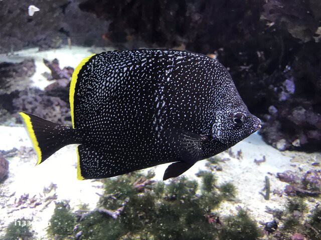 2024082818876448.jpg 88.jpg