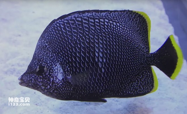 2024082819903787.jpg 8.jpg