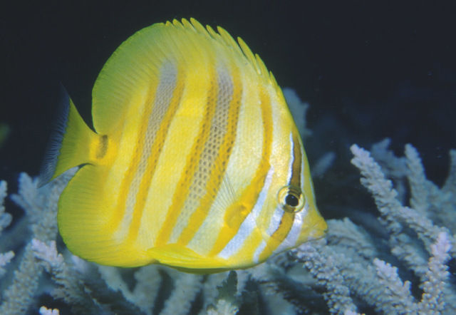 2024082823798896.jpeg 7.jpeg