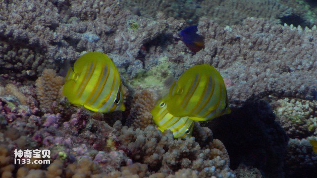 2024082850602303.jpg 77.jpg