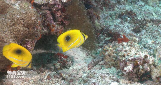 2024082855346714.jpg 1010.jpg