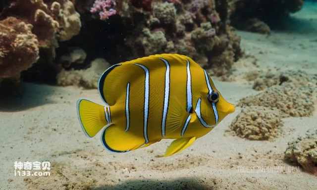 2024082867888197.jpg 112.jpg