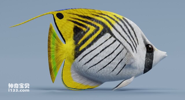 2024082878046139.jpg 44.jpg