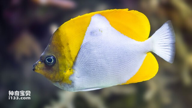 2024082891155498.jpg 6.jpg