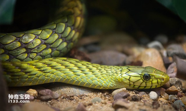 2024083011495016.jpg 8.jpg