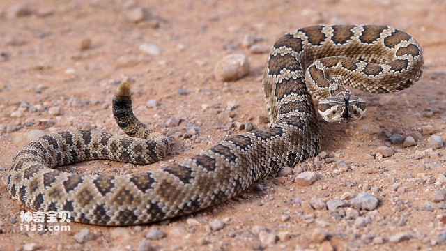 2024083011582609.jpg 10.jpg