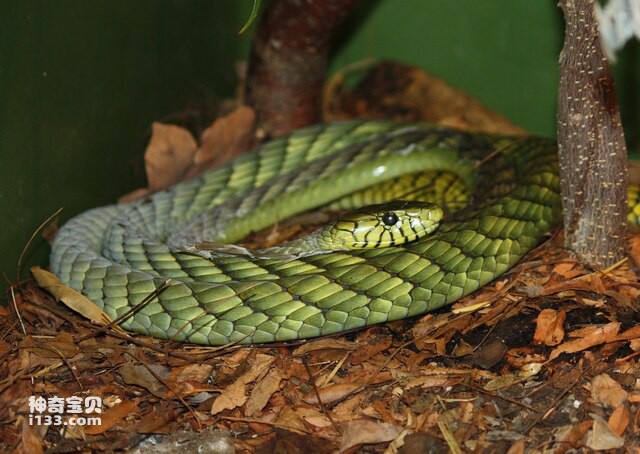 2024083015268379.jpg 88.jpg