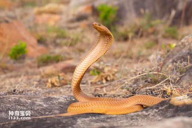 2024083017713277.jpg 55.jpg