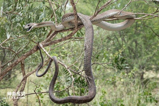 2024083030480415.jpg 1.jpg