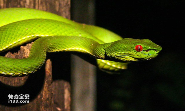 2024083036698865.jpg 9.jpg