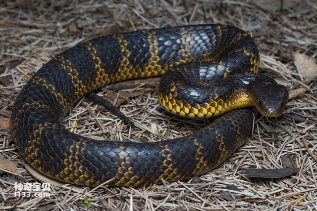 2024083041409320.jpg 6.jpg