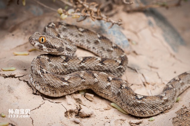 2024083073280438.jpg 44.jpg