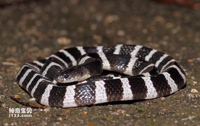 2024083091254619.jpg 77.jpg