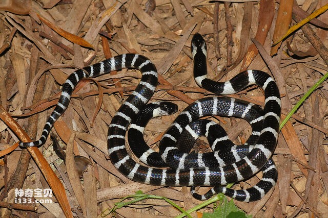 2024083091616103.jpg 7.jpg