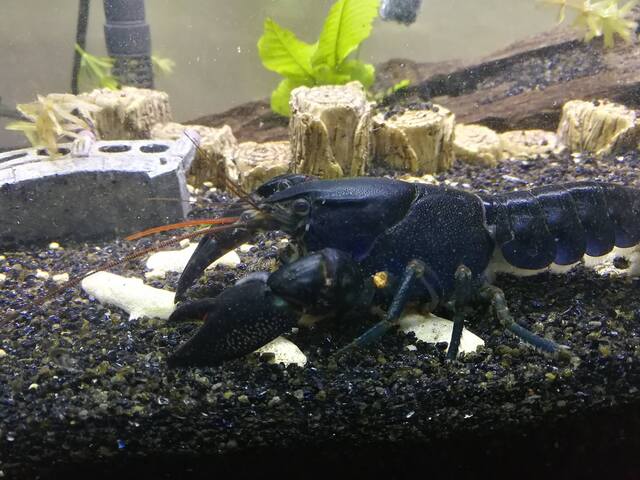 2024090912954204.jpg 66.jpg