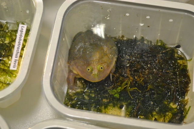 2024090926208618.jpg 8.jpg