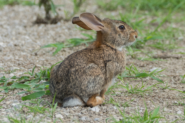 2024090934548888.jpeg 44.jpeg