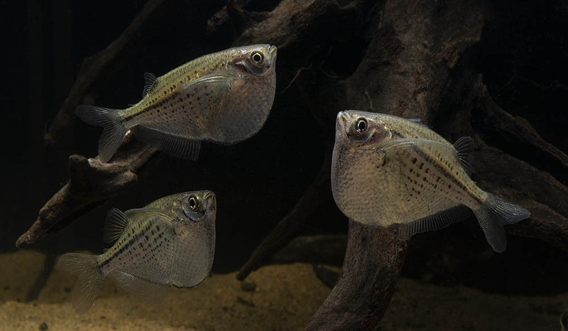 2024091810643073.jpg 44.jpg