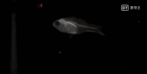 2024091814939356.jpg 20190830093602_273a5e.jpg