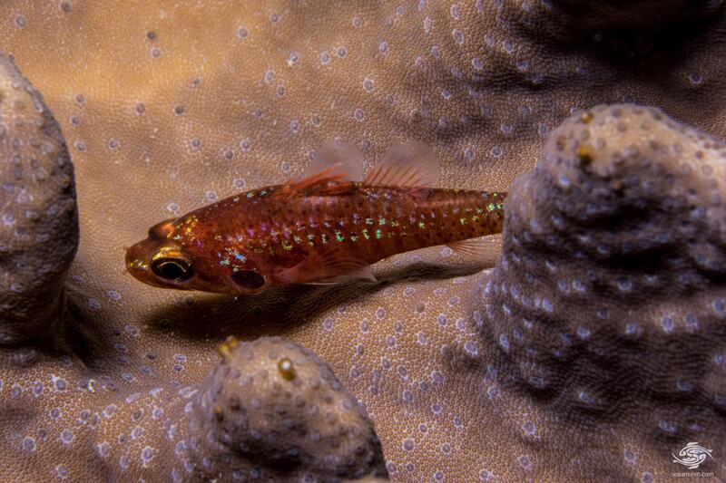 2024091819502929.jpg 7.jpg