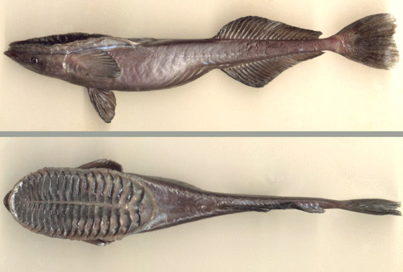 2024091820141603.jpg 99.jpg