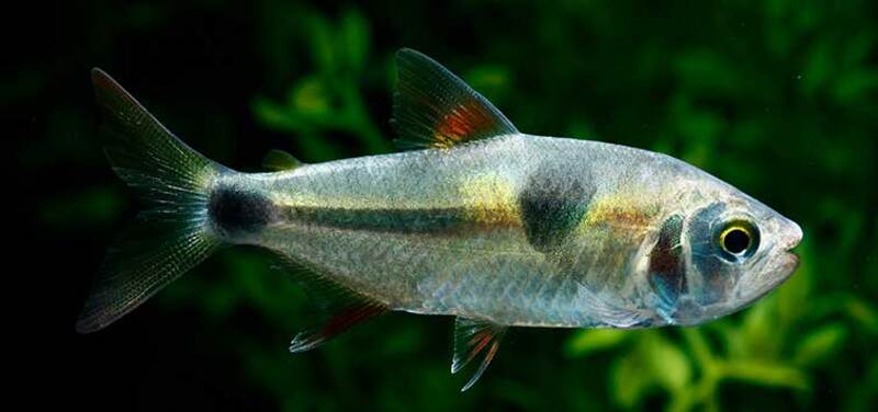 2024091825965399.jpg 55.jpg