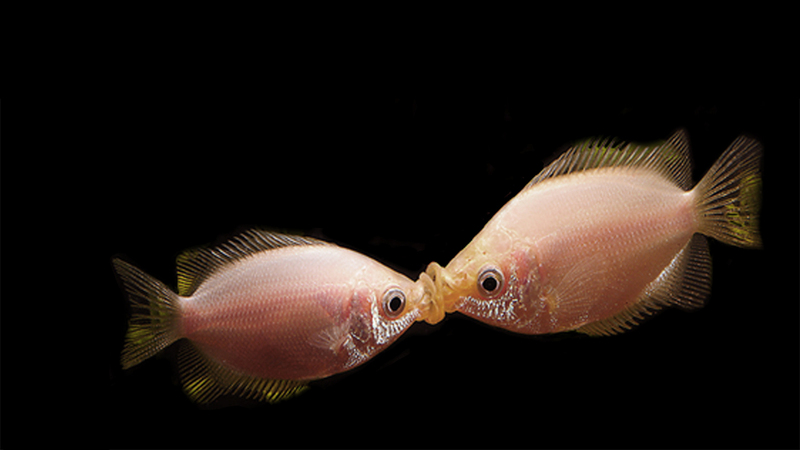 2024091852360232.jpg 3.jpg