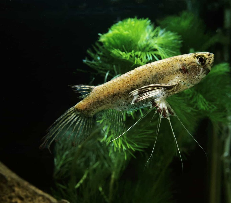 2024091869401978.jpg 88.jpg