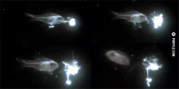 2024091878541382.jpg 77.jpg